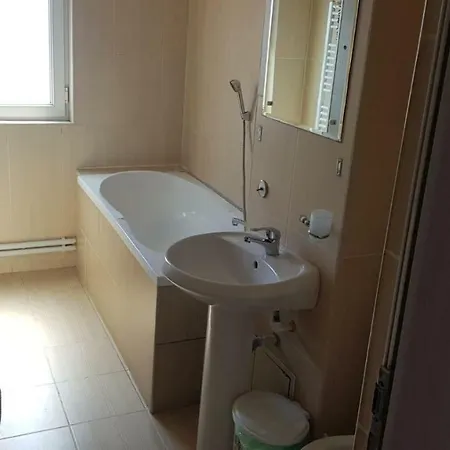 Moroianu Apartament *